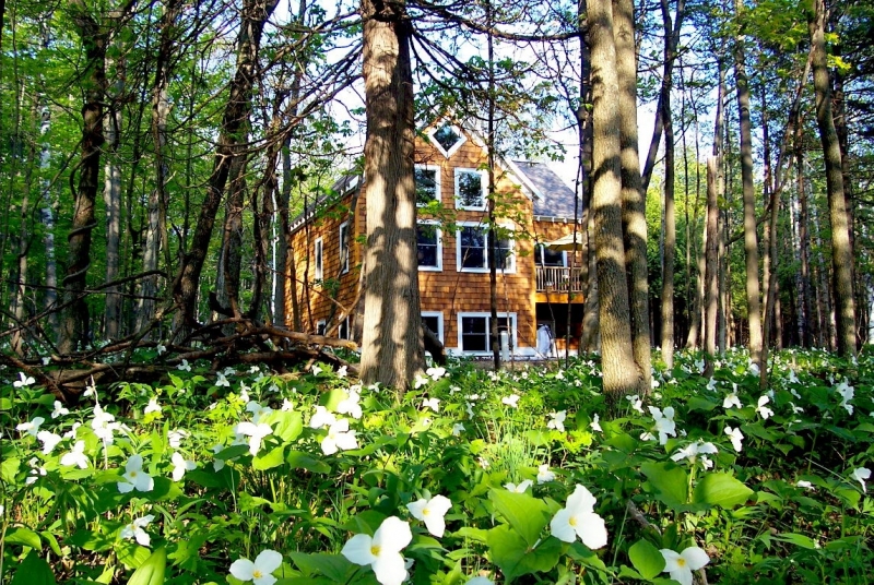 The Surf Cottage